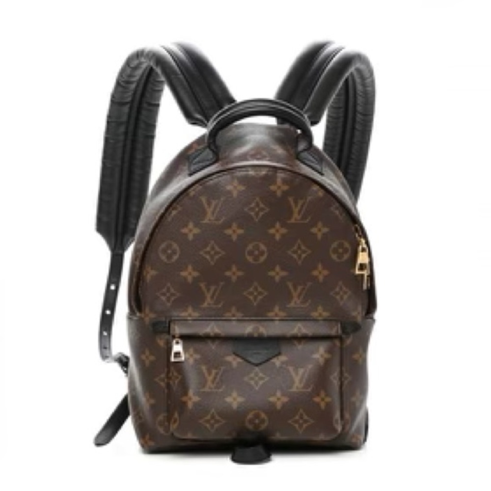 LOUIS VUITTON
Monogram Palm Springs Backpack PM
